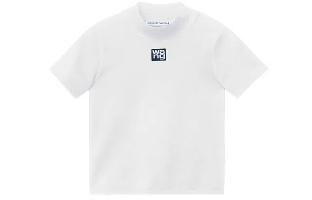 alexander wang SS21 LogoT