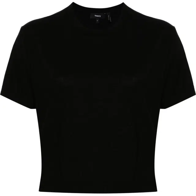 THEORY T