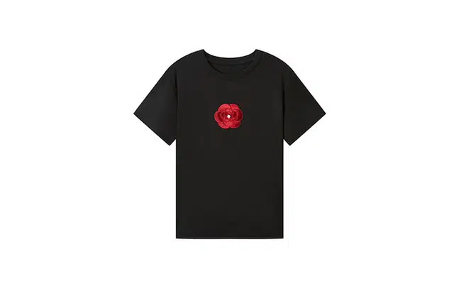 FINITY T