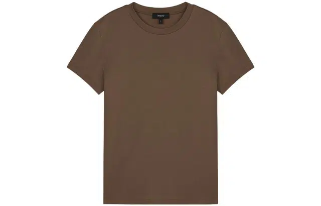 THEORY T