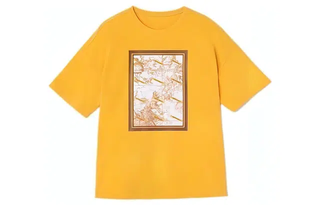 XII BASKET T
