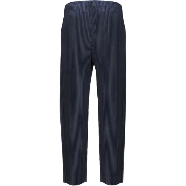 Homme Pliss Issey Miyake