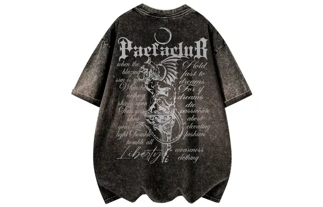 PAEFA LOGOT