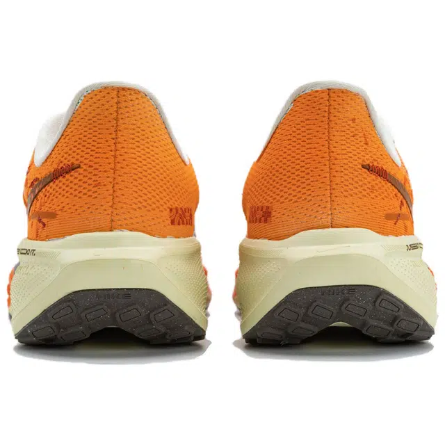 Nike Zoom Pegasus 41