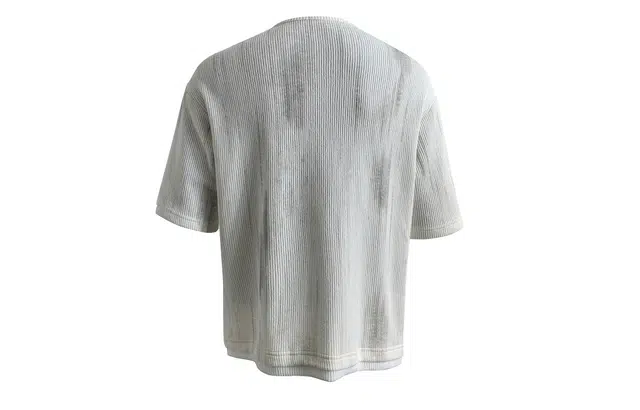 PAEFA T