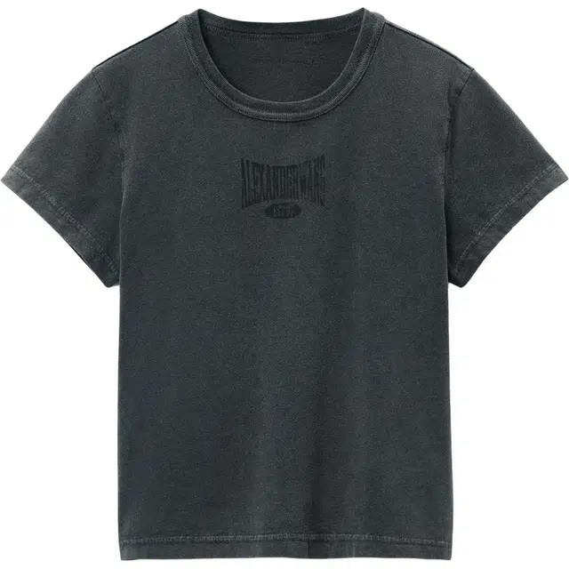 alexander wang Logo T