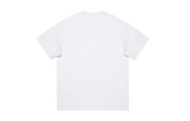 a02 logoT