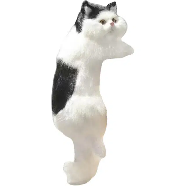 31cm