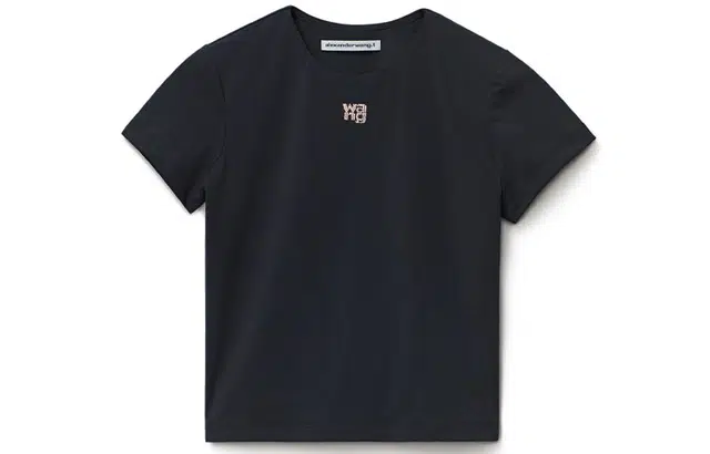 alexander wang FW21 logoT