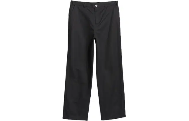 adidas originals 3-Stripes Skate Chino Pants Logo