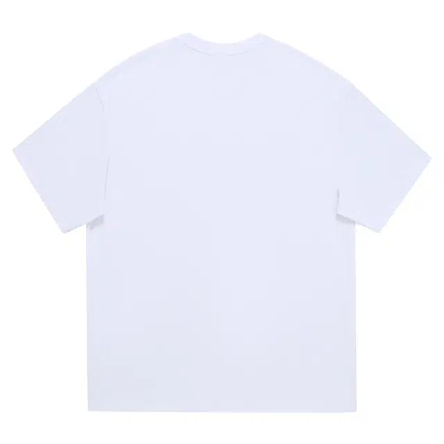 WELTER EXPERIMENT T