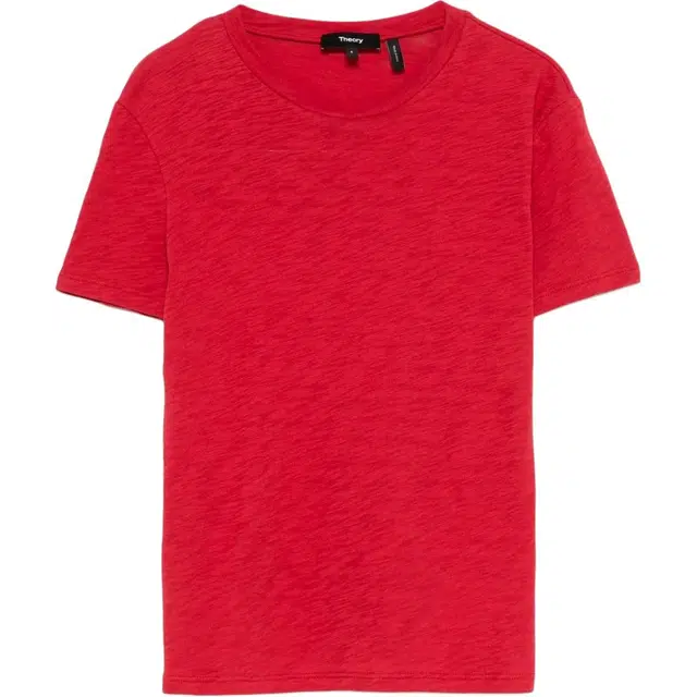 THEORY T