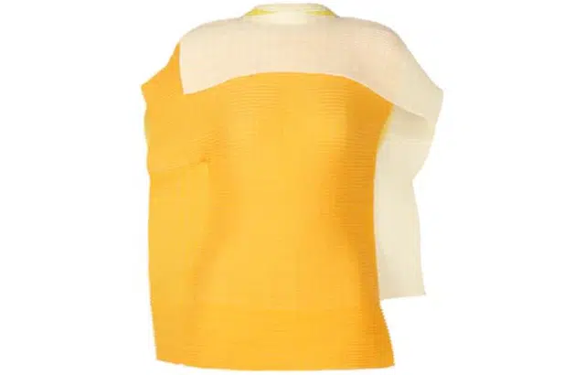 ISSEY MIYAKE Framed Pleats Top T