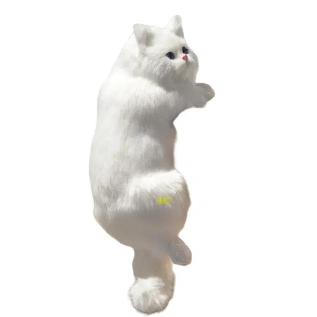 31cm
