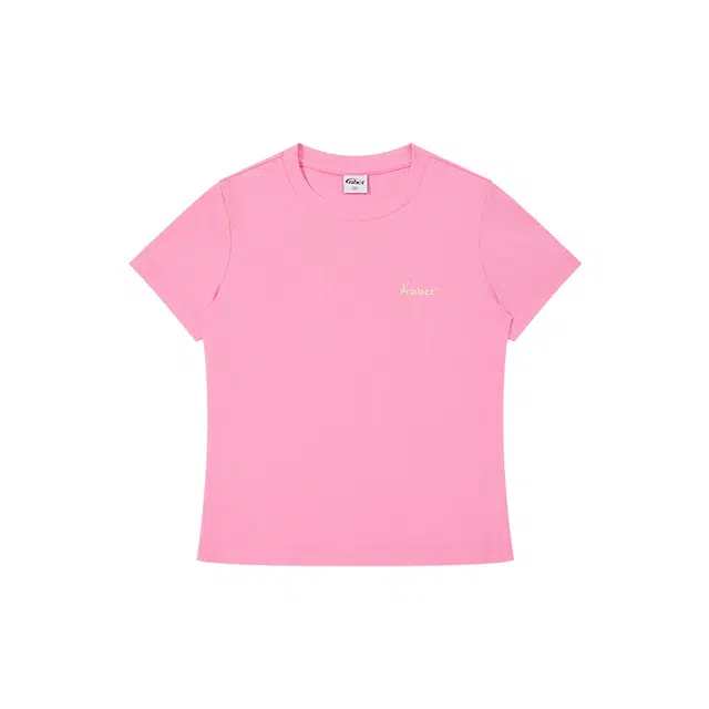 NBCT T