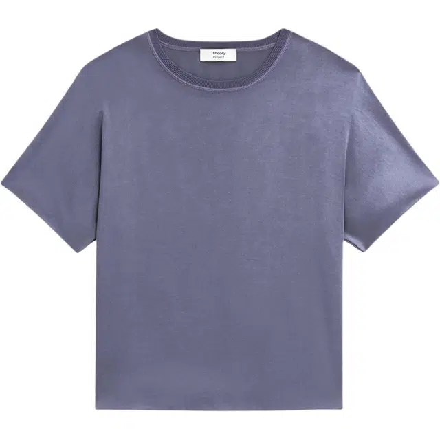 THEORY T