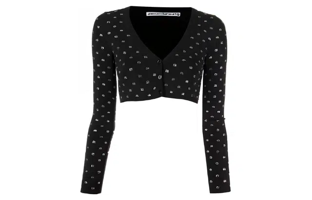 alexander wang FW22 V