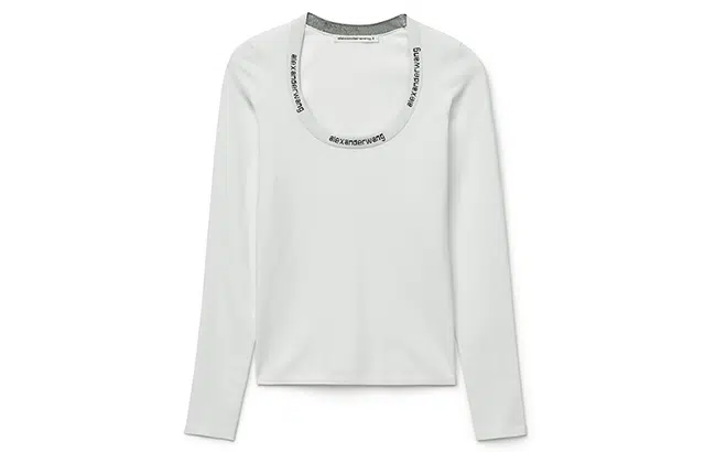 alexander wang T