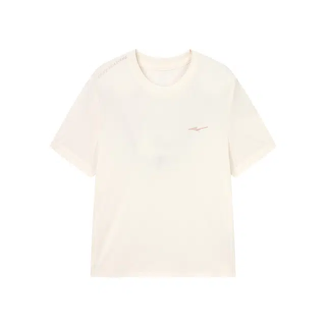 logo T DS