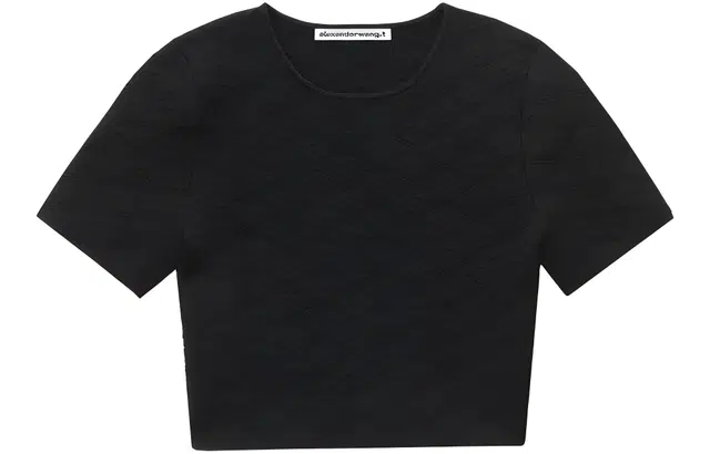 alexander wang T