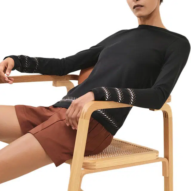 HERMES V T