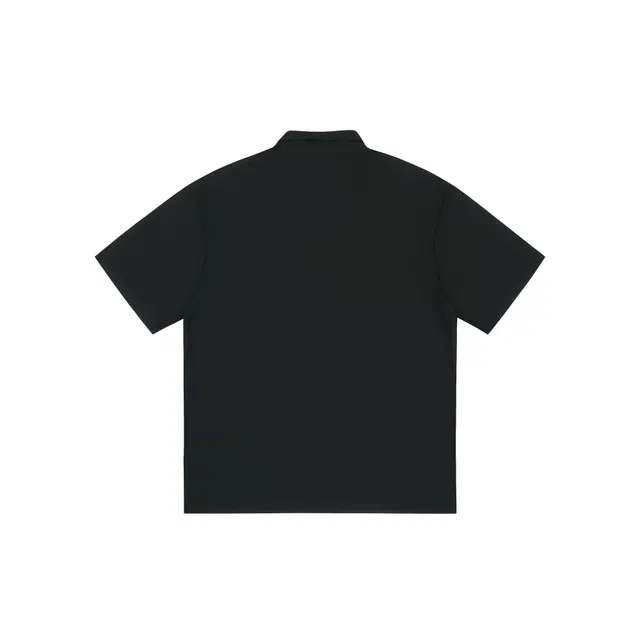 V37 Polo