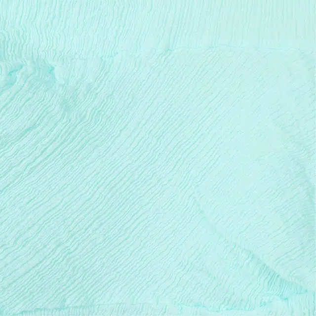 ISSEY MIYAKE T