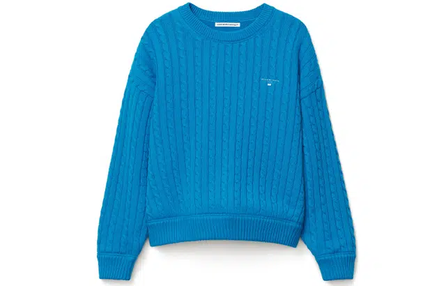 alexander wang FW21