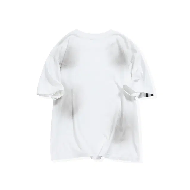 BEEHIVES T