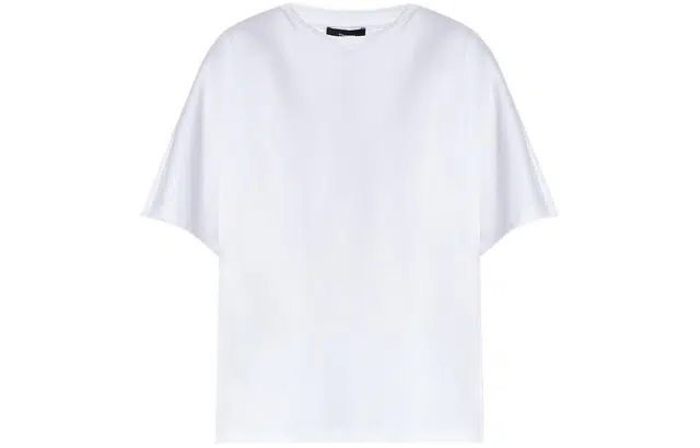 THEORY T