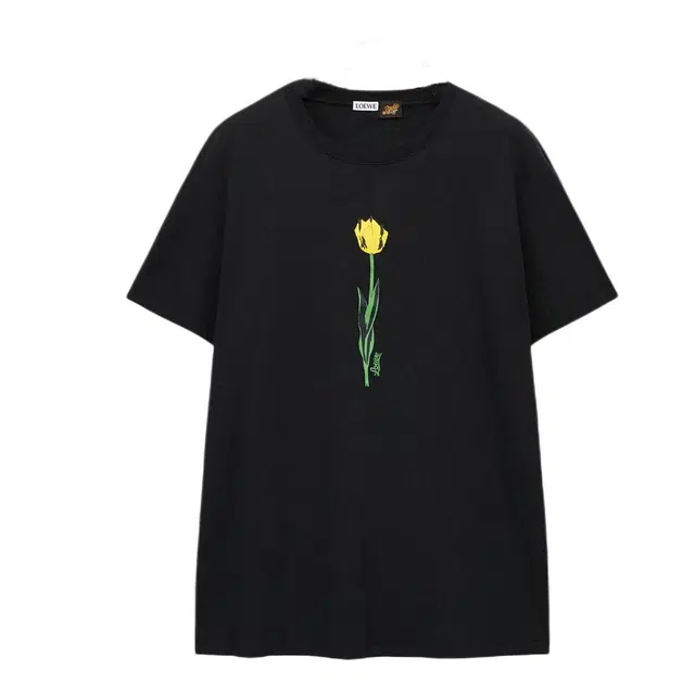 LOEWE T