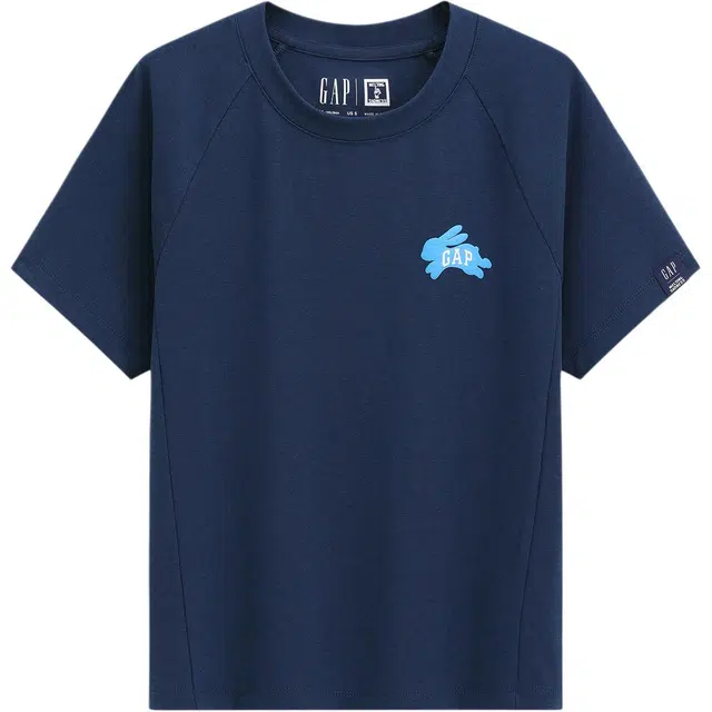 GAP MTSS Logo T