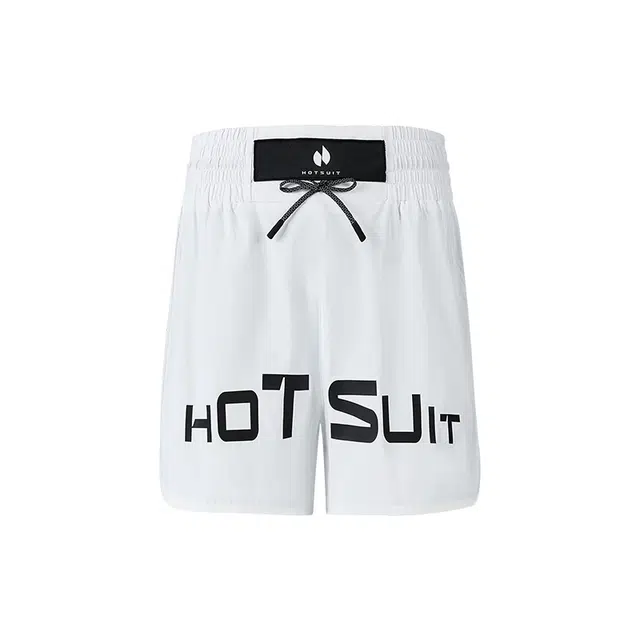 HOTSUIT logo