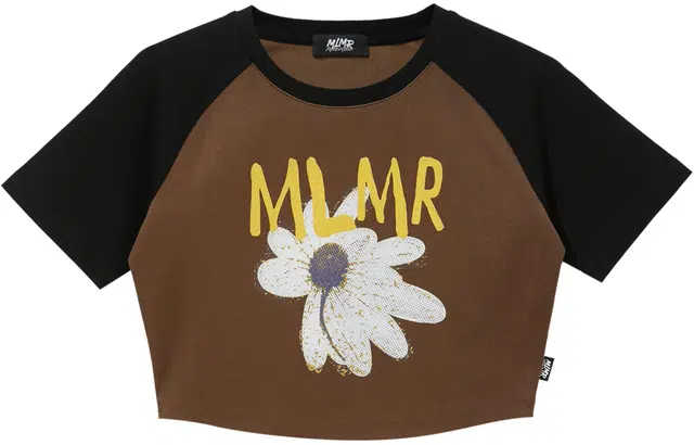 MLMR T