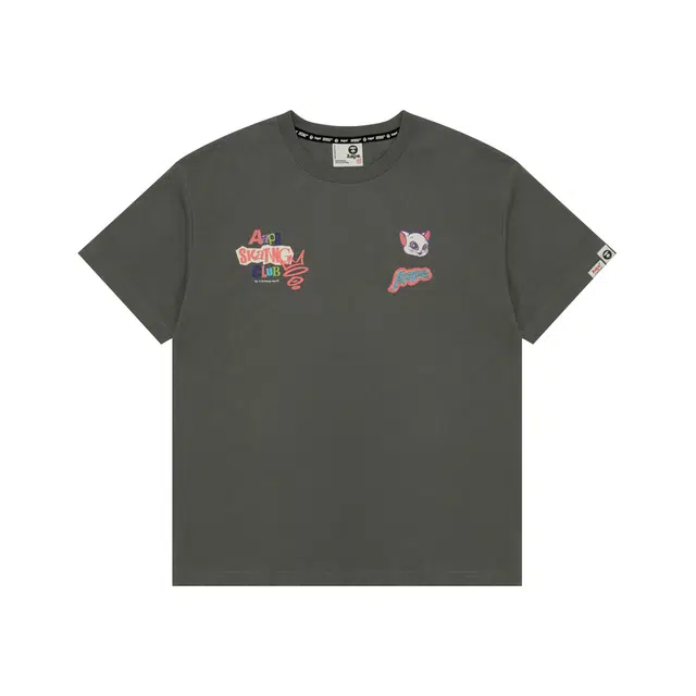 Aape T