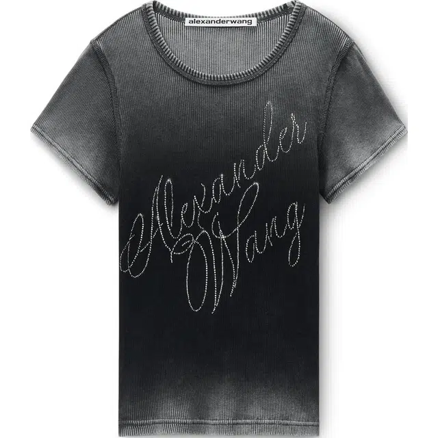 alexander wang FW24 T
