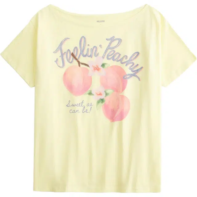 Hollister T
