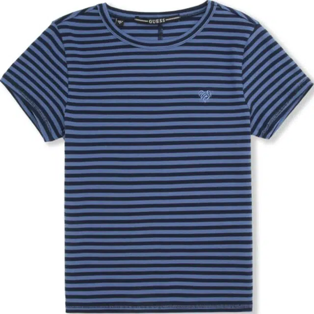 GUESS T