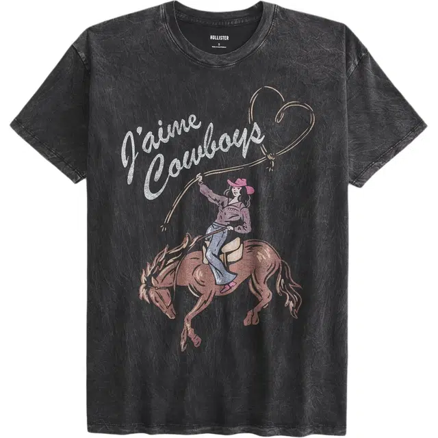Hollister T