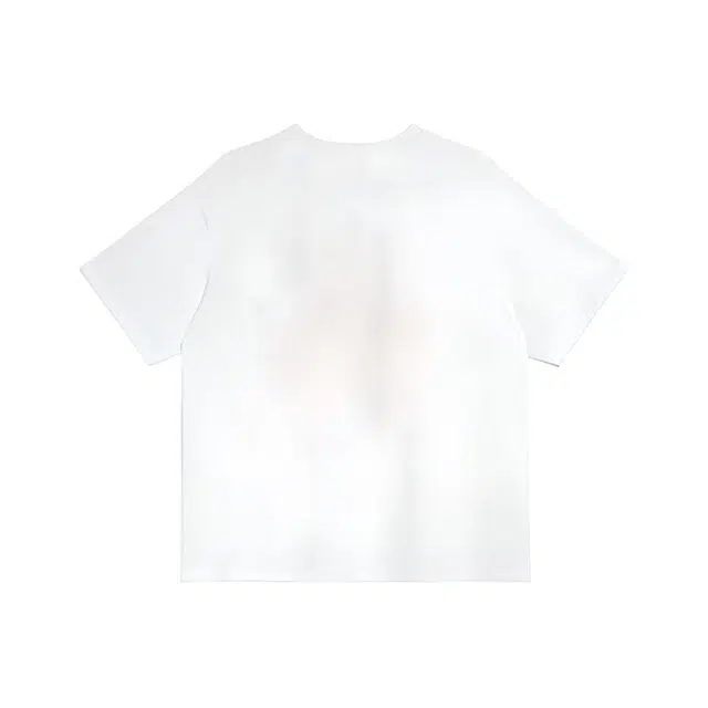 TIBINB T