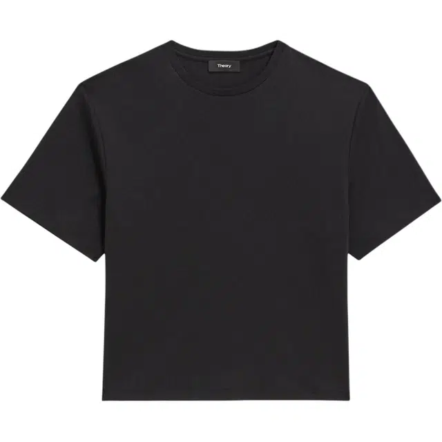 THEORY T