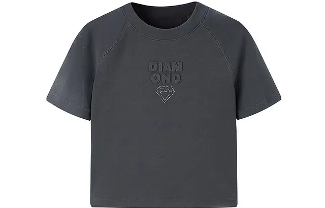 LEDIN logo T