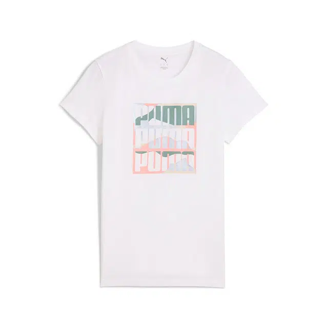 PUMA GRAPHICS Mountain Tee SS25 T