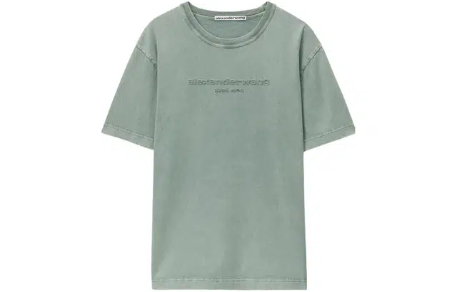 alexander wang T