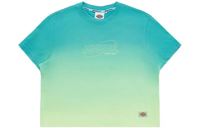 Dickies SS22 T