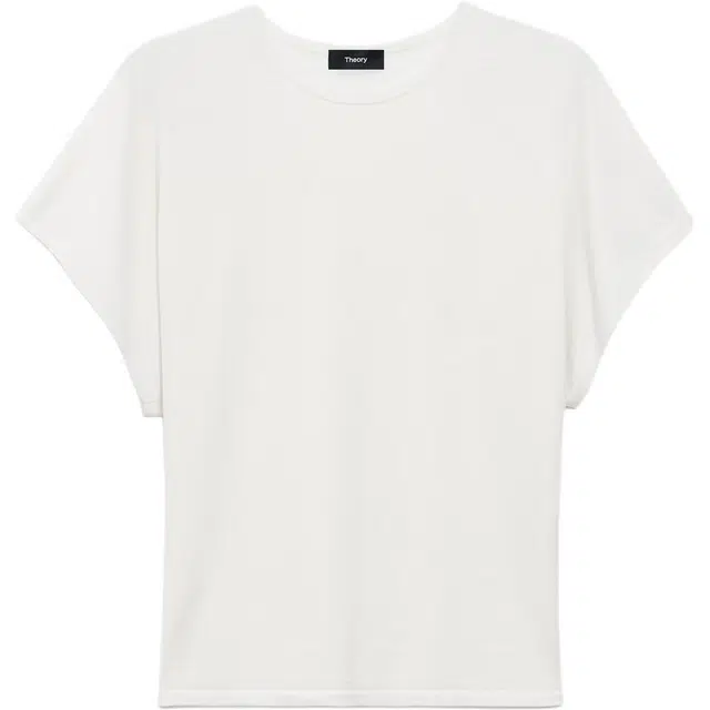 THEORY T