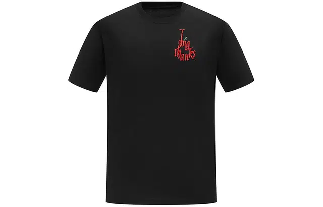 abigthanks T