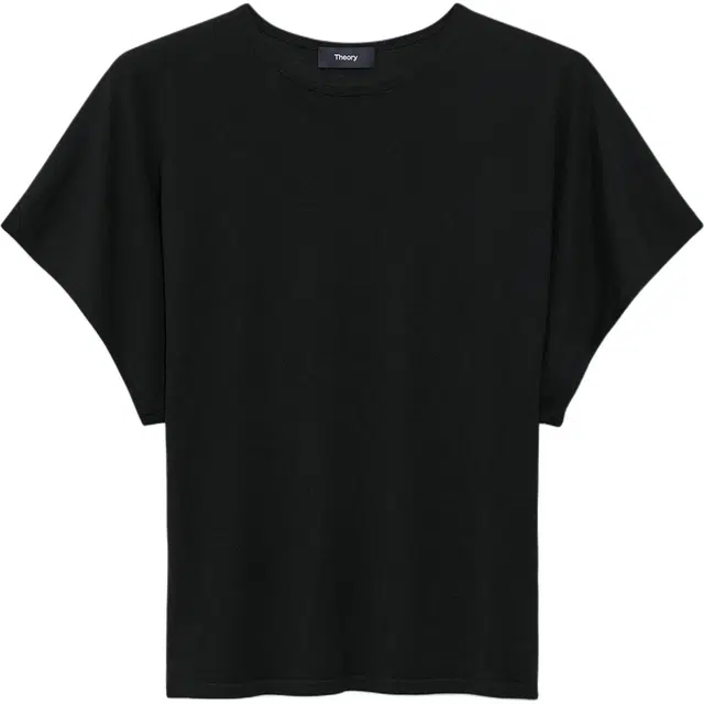 THEORY T