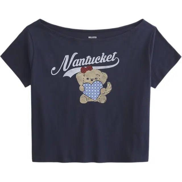 Hollister T