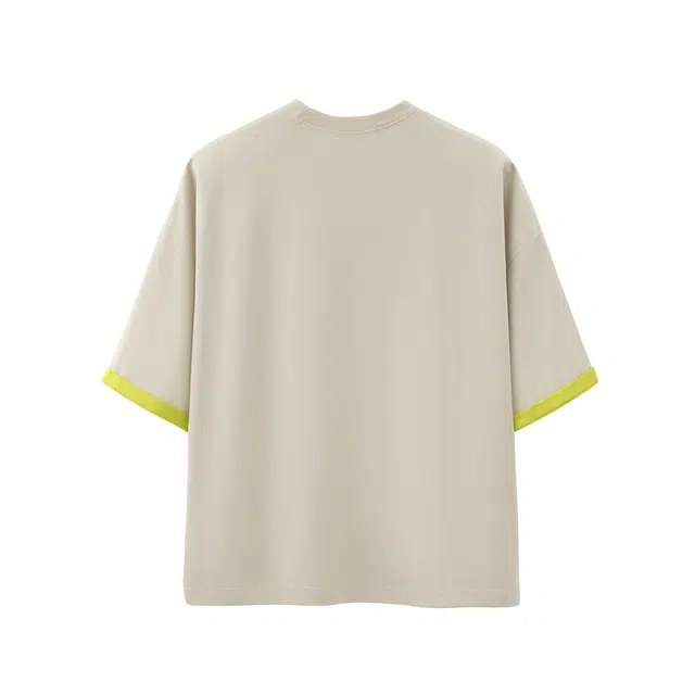 MindBridge T